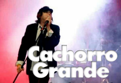 Cachorro Grande